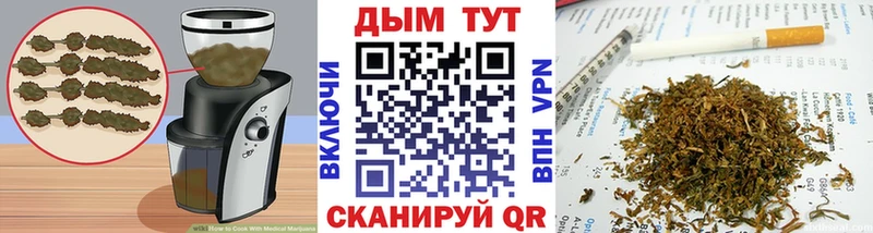 закладка Хотьково Canna-Cookies конопля