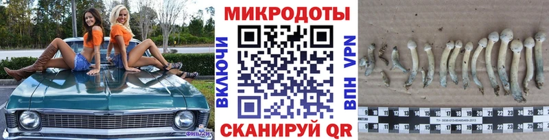 Галлюциногенные грибы Cubensis  купить закладку  Хотьково 